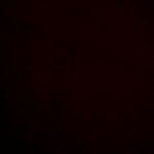 Meet your Posher, Bryant